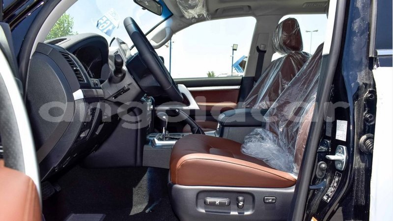 Big with watermark 12