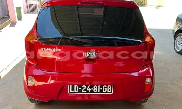 Buy Used Kia Picanto Red Car in Luanda in Luanda Province Buy Used Kia Picanto Red Car in Luanda in Luanda Province