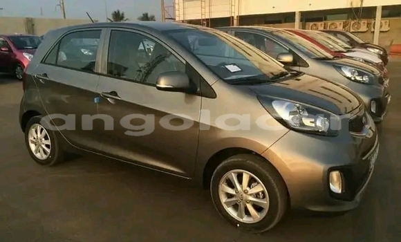 Comprar Usado Kia Picanto Outro Carro em Luanda em Luanda Province Comprar Usado Kia Picanto Outro Carro em Luanda em Luanda Province