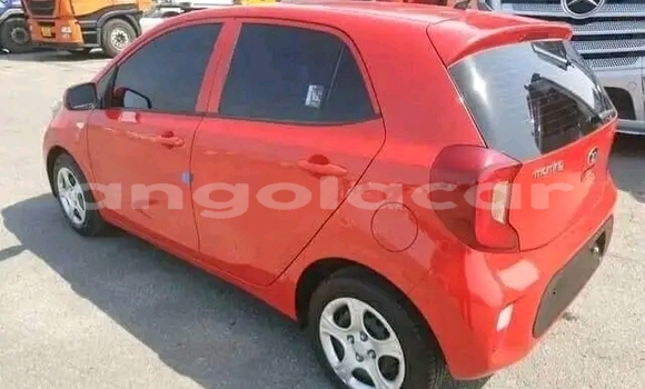 Buy Used Kia Picanto Red Car in Luanda in Luanda Province Buy Used Kia Picanto Red Car in Luanda in Luanda Province