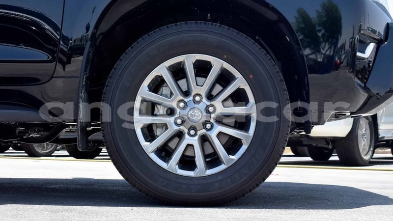 Big with watermark 16