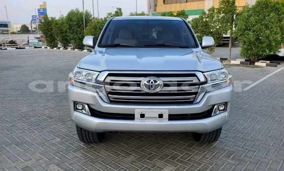 Buy Used Toyota Land Cruiser Silver Car in Luanda in Luanda Province