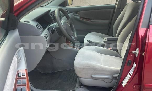 Comprar Usado Toyota Corolla Vermelho Carro em Luanda em Luanda Province Comprar Usado Toyota Corolla Vermelho Carro em Luanda em Luanda Province
