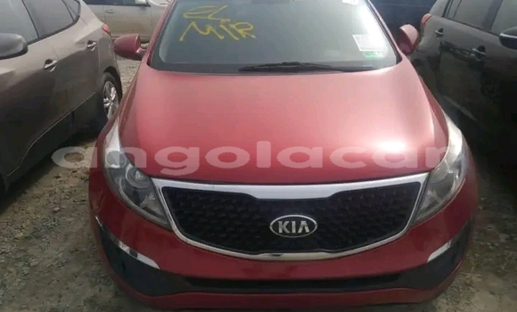Buy Used Kia Sportage Red Car in Luanda in Luanda Province Buy Used Kia Sportage Red Car in Luanda in Luanda Province