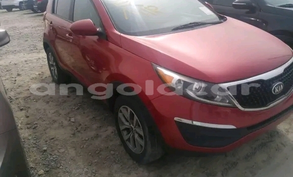 Buy Used Kia Sportage Red Car in Luanda in Luanda Province Buy Used Kia Sportage Red Car in Luanda in Luanda Province