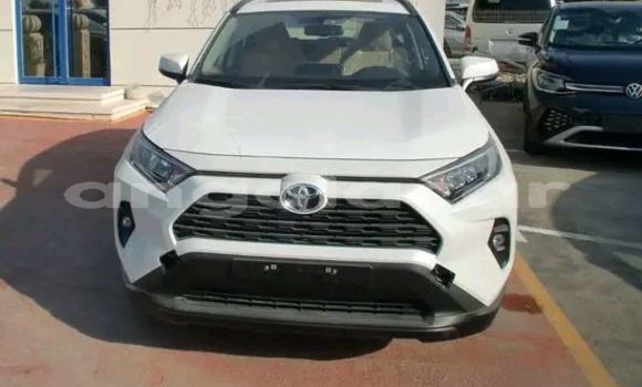 Buy Used Toyota RAV4 White Car in Luena in Moxico