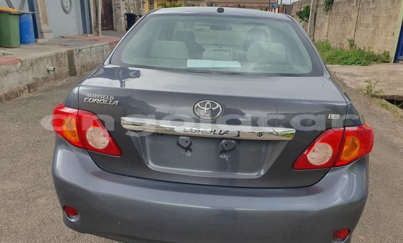 Buy Used Toyota Corolla Silver Car in Luanda in Luanda Province Buy Used Toyota Corolla Silver Car in Luanda in Luanda Province