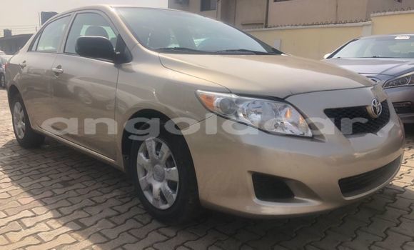 Comprar Usado Toyota Corolla Marrom Carro em Luanda em Luanda Province Comprar Usado Toyota Corolla Marrom Carro em Luanda em Luanda Province