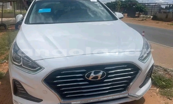 Buy Used Hyundai Elantra White Car in Luanda in Luanda Province