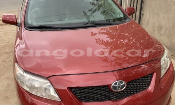 Comprar Usado Toyota Corolla Vermelho Carro em Luanda em Luanda Province Comprar Usado Toyota Corolla Vermelho Carro em Luanda em Luanda Province