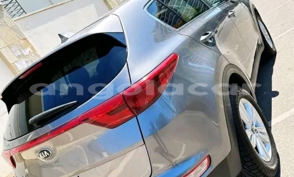 Buy Used Kia Sportage Other Car in Luanda in Luanda Province Buy Used Kia Sportage Other Car in Luanda in Luanda Province