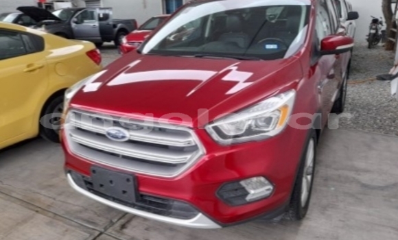 Buy Used Ford Escape Red Car in Luanda in Luanda Province
