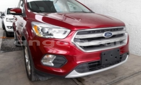 Buy Used Ford Escape Red Car in Luanda in Luanda Province Buy Used Ford Escape Red Car in Luanda in Luanda Province
