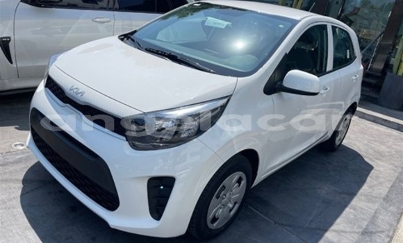 Acheter Occasion Voiture Kia Picanto Blanc à Luanda, Province de Luanda