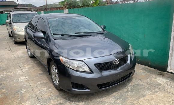 Buy Used Toyota Corolla Black Car in Luanda in Luanda Province Buy Used Toyota Corolla Black Car in Luanda in Luanda Province