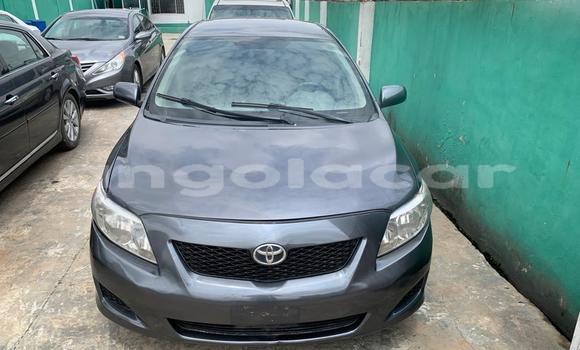 Buy Used Toyota Corolla Black Car in Luanda in Luanda Province Buy Used Toyota Corolla Black Car in Luanda in Luanda Province