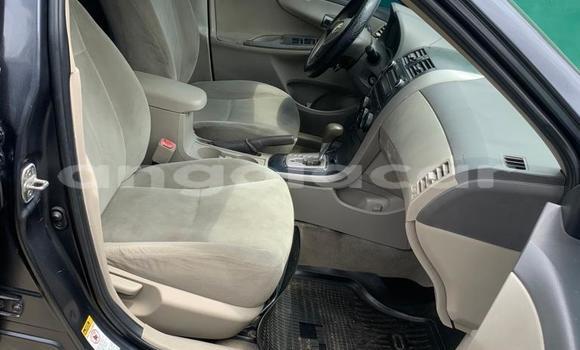 Buy Used Toyota Corolla Black Car in Luanda in Luanda Province Buy Used Toyota Corolla Black Car in Luanda in Luanda Province