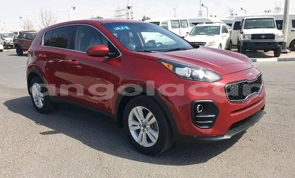 Buy Used Kia Sportage Red Car in Luanda in Luanda Province Buy Used Kia Sportage Red Car in Luanda in Luanda Province