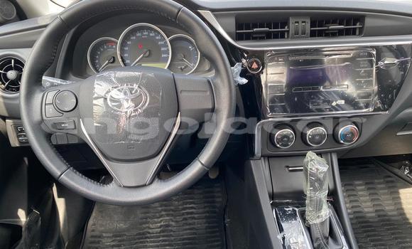 Comprar Usado Toyota Corolla Preto Carro em Luena em Moxico Comprar Usado Toyota Corolla Preto Carro em Luena em Moxico