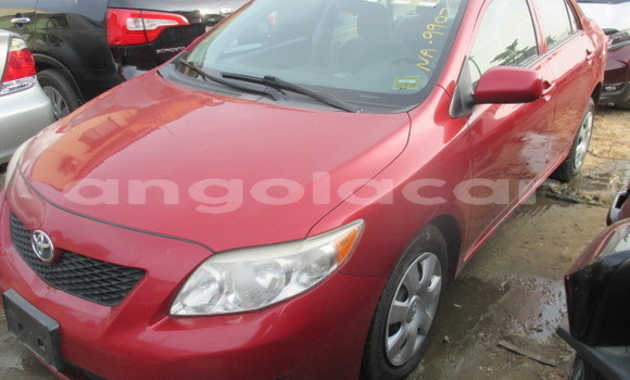 Comprar Usado Toyota Corolla Vermelho Carro em Luena em Moxico