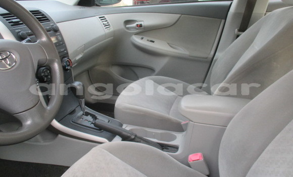Comprar Usado Toyota Corolla Vermelho Carro em Luena em Moxico Comprar Usado Toyota Corolla Vermelho Carro em Luena em Moxico