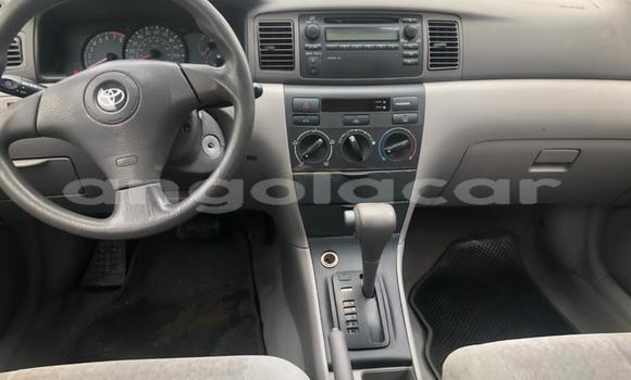Buy Used Toyota Corolla Other Car in Luena in Moxico Buy Used Toyota Corolla Other Car in Luena in Moxico