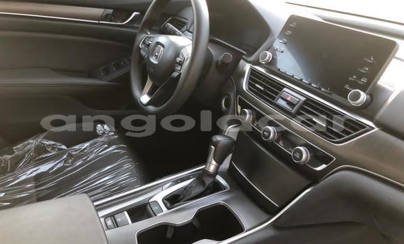 Comprar Usado Honda Accord Branco Carro em Luena em Moxico Comprar Usado Honda Accord Branco Carro em Luena em Moxico