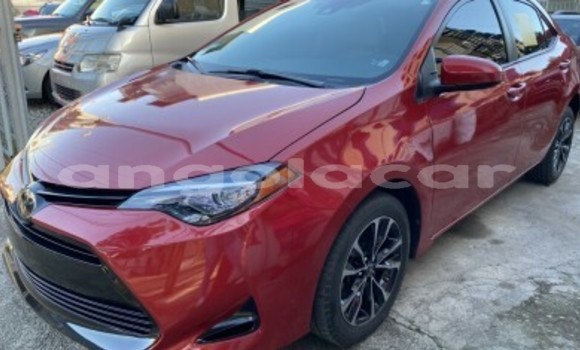 Buy Used Toyota Corolla Red Car in Luanda in Luanda Province