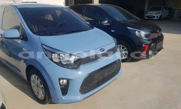 Buy Used Kia Morning Blue Car in Luanda in Luanda Province Buy Used Kia Morning Blue Car in Luanda in Luanda Province