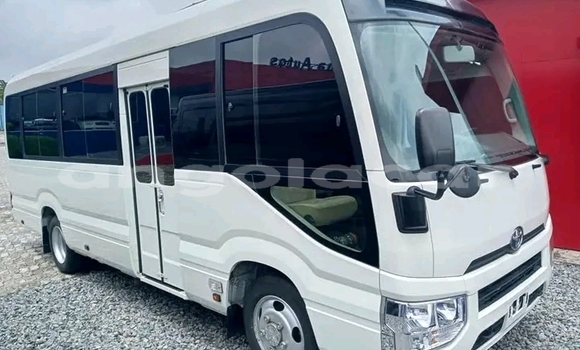 Buy Used Toyota Coaster White Car in Luanda in Luanda Province Buy Used Toyota Coaster White Car in Luanda in Luanda Province