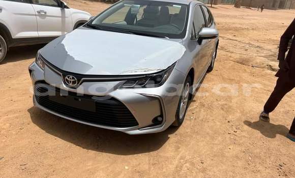 Buy Used Toyota Corolla Silver Car in Luanda in Luanda Province