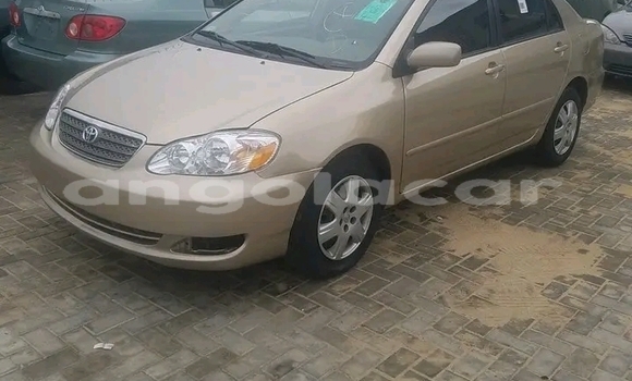 Comprar Usado Toyota Corolla Marrom Carro em Luanda em Luanda Province