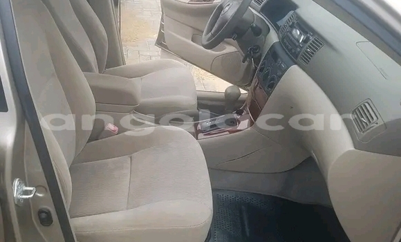 Acheter Occasion Voiture Toyota Corolla Marron à Luanda, Province de Luanda Acheter Occasion Voiture Toyota Corolla Marron à Luanda, Province de Luanda