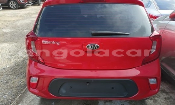 Buy Used Kia Morning Red Car in Luanda in Luanda Province Buy Used Kia Morning Red Car in Luanda in Luanda Province