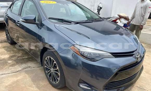 Buy Used Toyota Corolla Black Car in Luanda in Luanda Province Buy Used Toyota Corolla Black Car in Luanda in Luanda Province