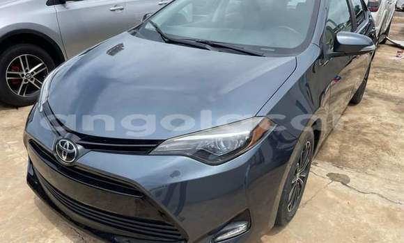 Buy Used Toyota Corolla Black Car in Luanda in Luanda Province Buy Used Toyota Corolla Black Car in Luanda in Luanda Province