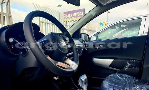 Buy Used Kia Picanto Silver Car in Luanda in Luanda Province Buy Used Kia Picanto Silver Car in Luanda in Luanda Province