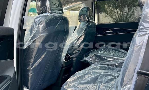 Comprar Usado Kia Sorento Branco Carro em Luanda em Luanda Province Comprar Usado Kia Sorento Branco Carro em Luanda em Luanda Province