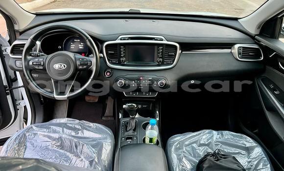 Comprar Usado Kia Sorento Branco Carro em Luanda em Luanda Province Comprar Usado Kia Sorento Branco Carro em Luanda em Luanda Province