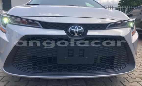 Buy Used Toyota Corolla Other Car in Luanda in Luanda Province Buy Used Toyota Corolla Other Car in Luanda in Luanda Province