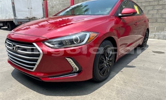 Comprar Usado Hyundai Elantra Vermelho Carro em Luanda em Luanda Province