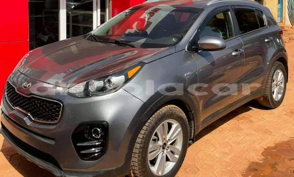 Buy Used Kia Sportage Other Car in Luanda in Luanda Province