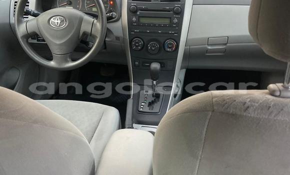Buy Used Toyota Corolla Blue Car in Luanda in Luanda Province Buy Used Toyota Corolla Blue Car in Luanda in Luanda Province