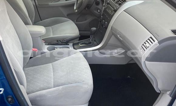 Buy Used Toyota Corolla Blue Car in Luanda in Luanda Province Buy Used Toyota Corolla Blue Car in Luanda in Luanda Province