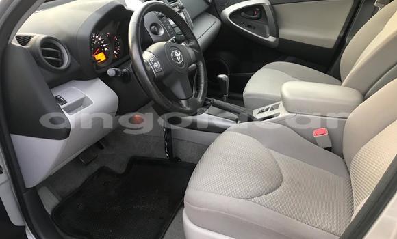 Comprar Usado Toyota RAV4 Prata Carro em Luanda em Luanda Province Comprar Usado Toyota RAV4 Prata Carro em Luanda em Luanda Province