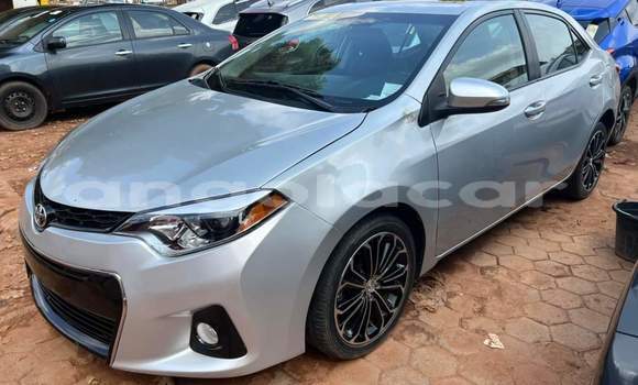 Comprar Usado Toyota Corolla Prata Carro em Luanda em Luanda Province