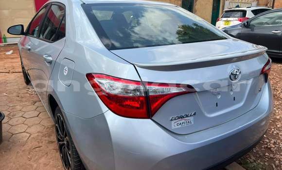 Acheter Occasion Voiture Toyota Corolla Gris à Luanda, Province de Luanda Acheter Occasion Voiture Toyota Corolla Gris à Luanda, Province de Luanda