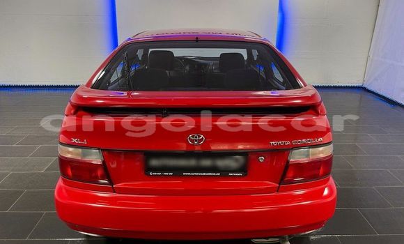 Buy Used Toyota Corolla Red Car in Luanda in Luanda Province Buy Used Toyota Corolla Red Car in Luanda in Luanda Province