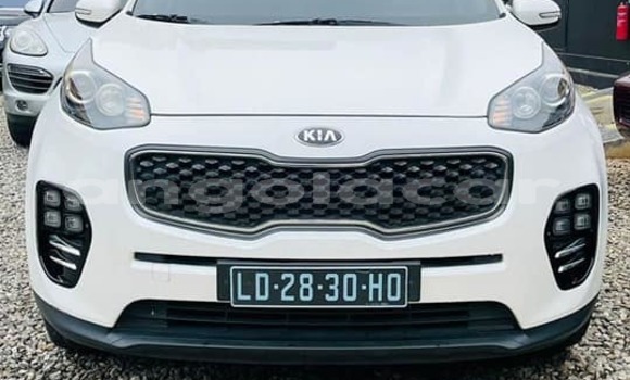 Buy Used Kia Sportage White Car in Luanda in Luanda Province