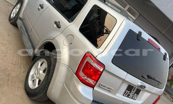 Comprar Usado Ford Escape Outro Carro em Luanda em Luanda Province Comprar Usado Ford Escape Outro Carro em Luanda em Luanda Province